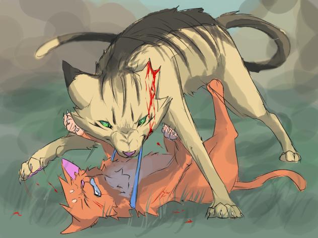 challenge (vs longtail)