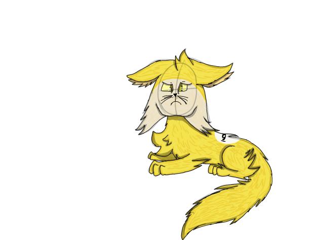 9-Ball as a Cat(Bfdi)