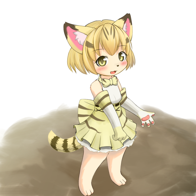 サンドキャット