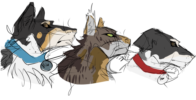 My pets! - ibisPaint
