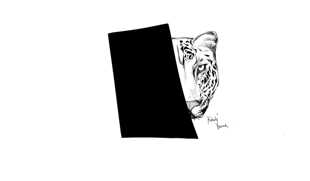 Untitled14