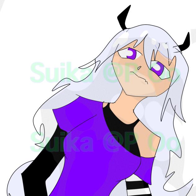Bella Dtiys entry
