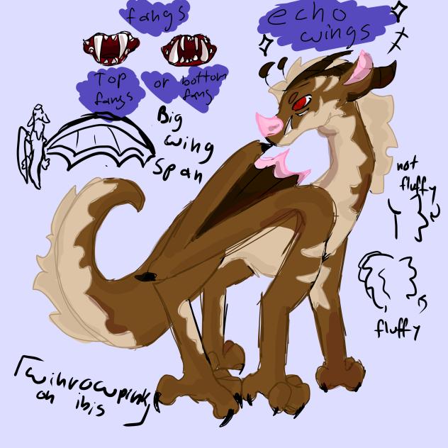 wof echo wings!