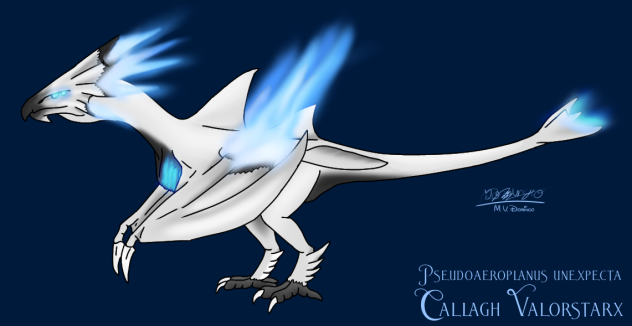 Callagh Valorstarx 2