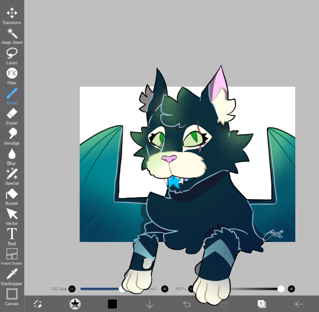 FA for Saj!!