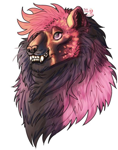 Isn’t he so pretty