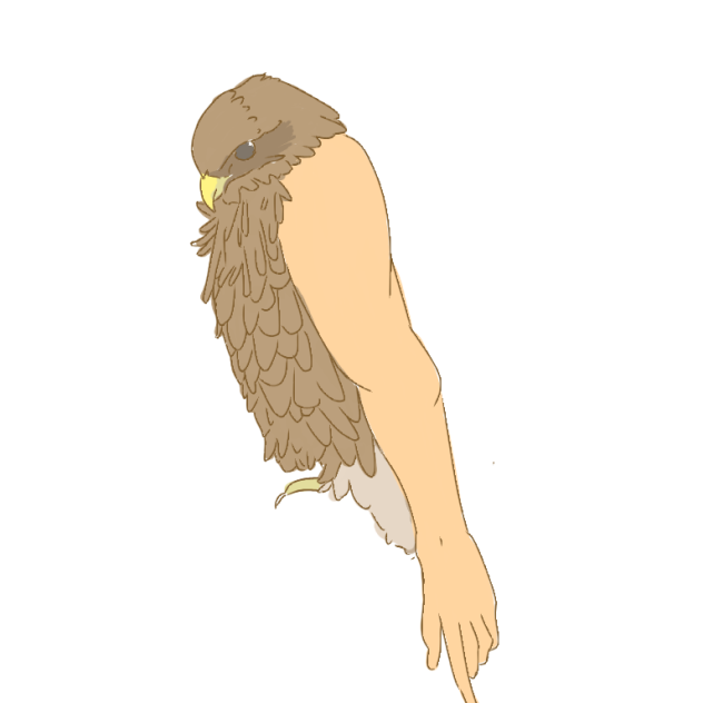 鳥人間 Ibispaint