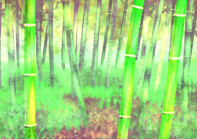 竹林
