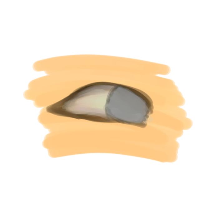 Eye drawing