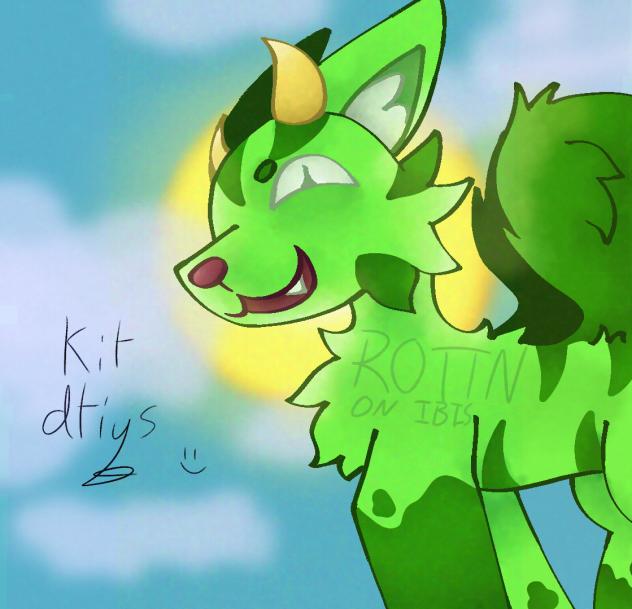kit dtiys