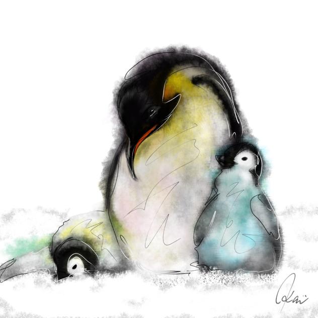 コウテイペンギン　Emperor Penguin