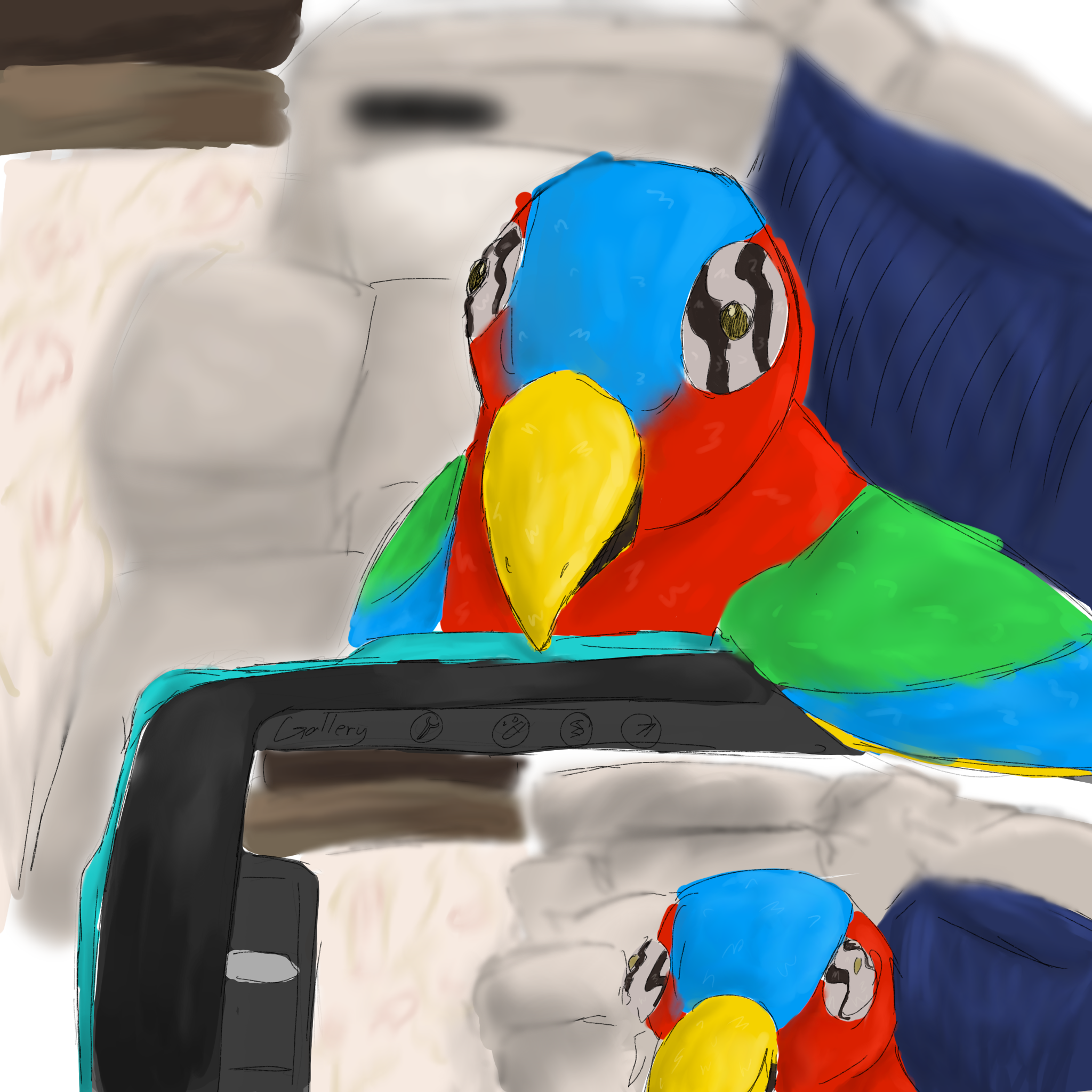 Parrot - ibisPaint