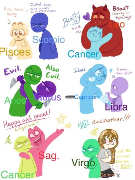 Zodiac ship collab