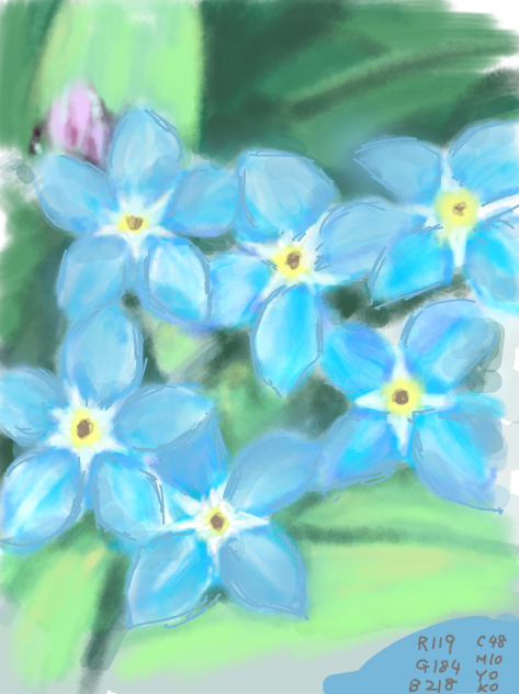 Dita 水彩の勿忘草色 勿忘草色（わすれなぐさいろ） - ibisPaint