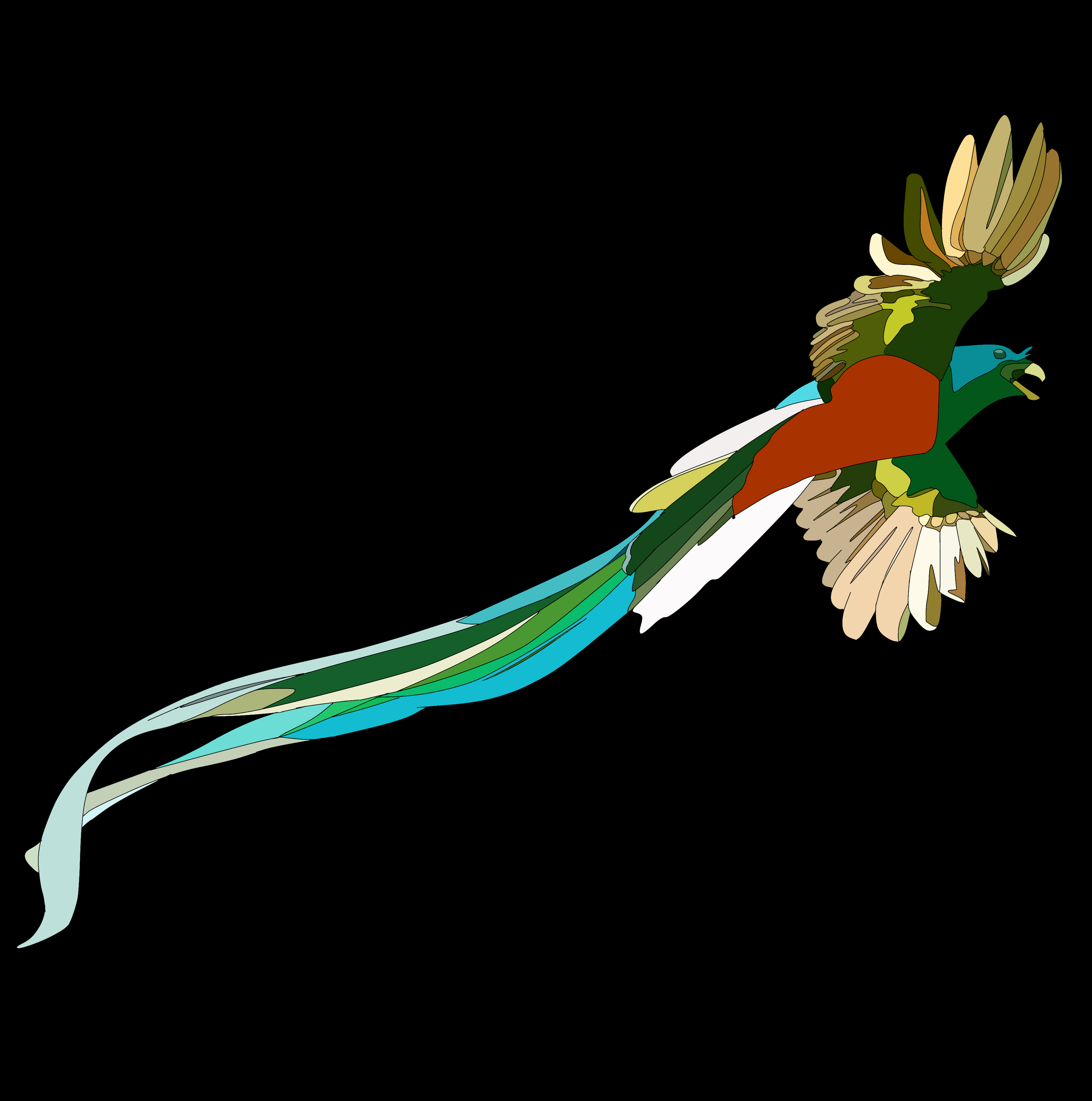 ケツァール ibisPaint