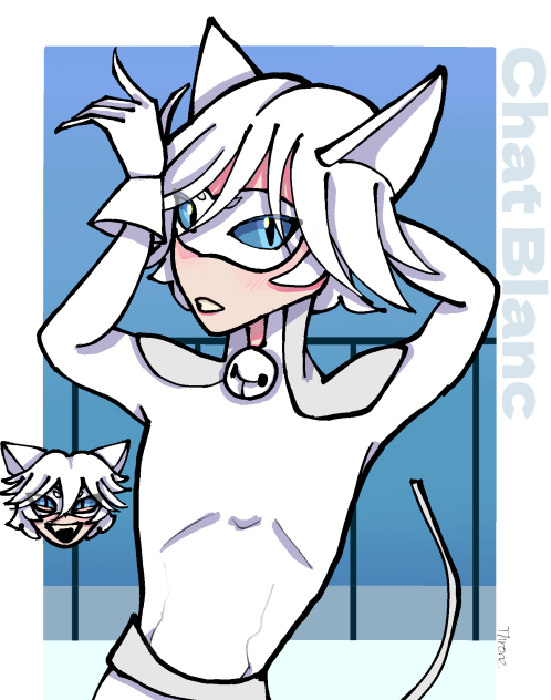 Chat Blanc - Miraculous Ladybug