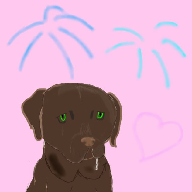 My puppy Chocolate