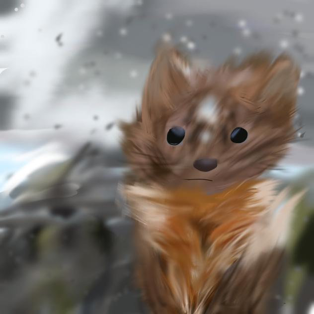 squeak