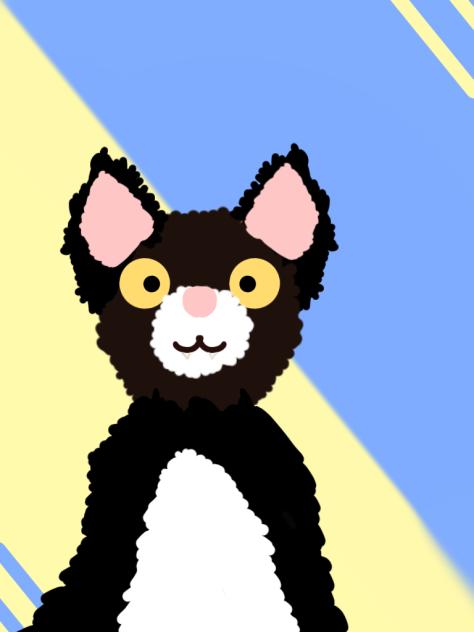 ★»Tuxedo!«★