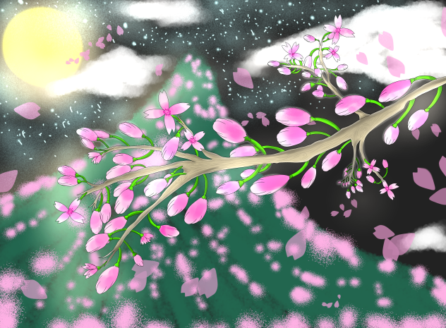 cherry blossoms at night