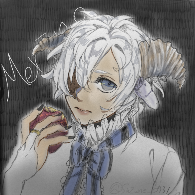 ｵﾘｷｬﾗ”メリノ”