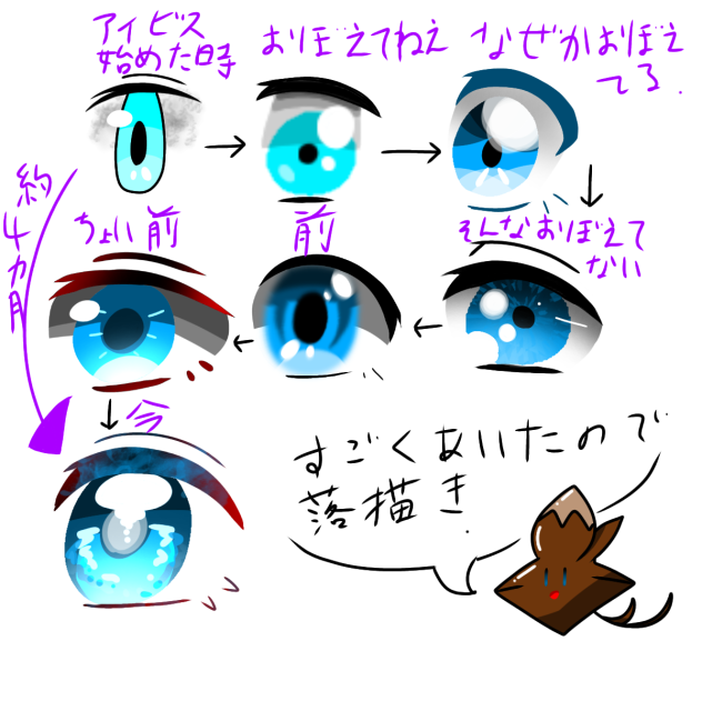 目の歴史(アイビス)