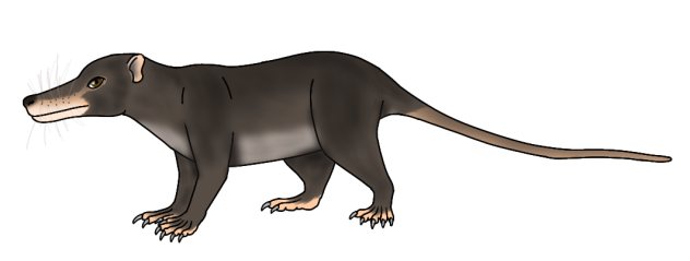 Deinogalerix koenigswaldi2