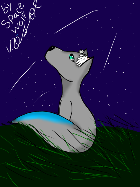 Wolf in the night
