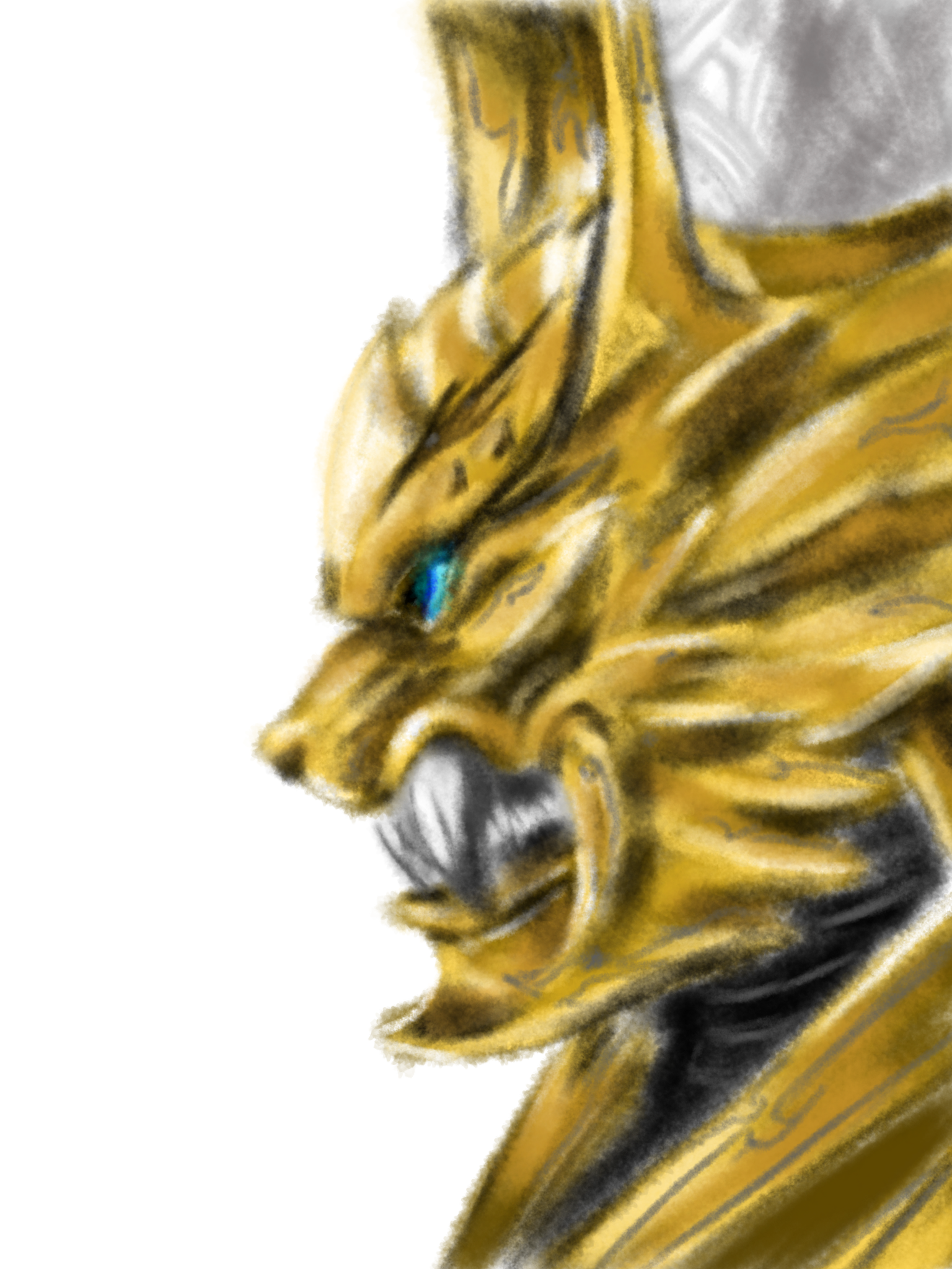 image990449205.png
