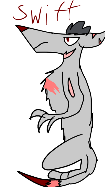 Swift the gray artic wolf