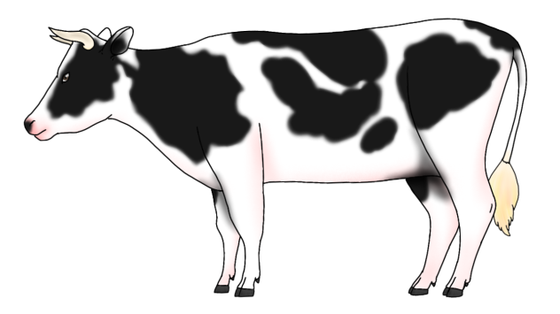 Holstein Friesian Bull render
