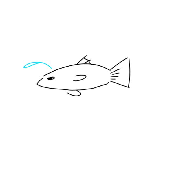 fish