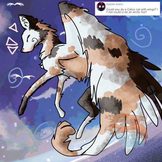 Rq — winged calico cat