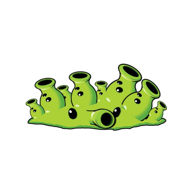 Thorns and Peashooters