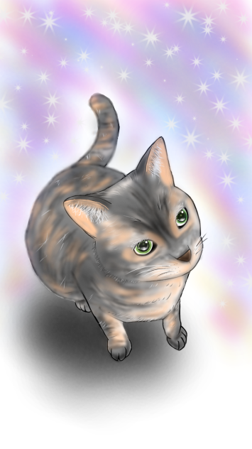 愛猫