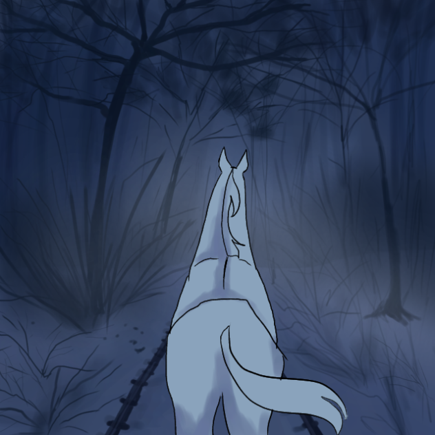 🌙