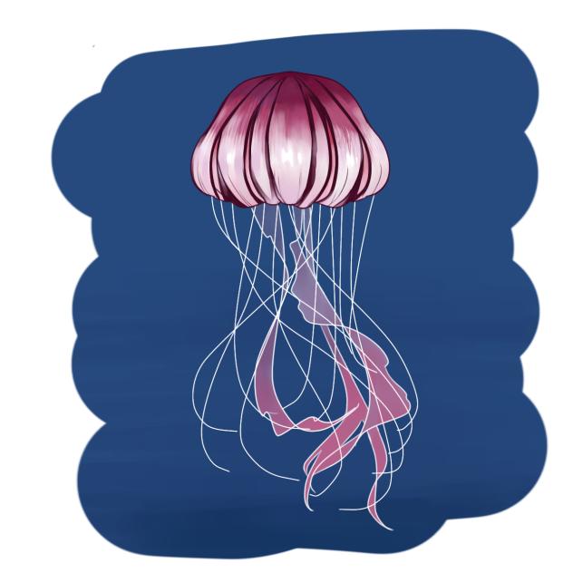 jellyfish - ibisPaint