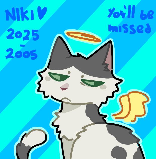 my cat niki