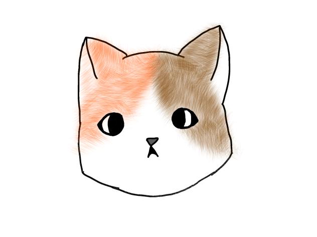 Unfinished cat thing