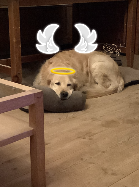 Best boy