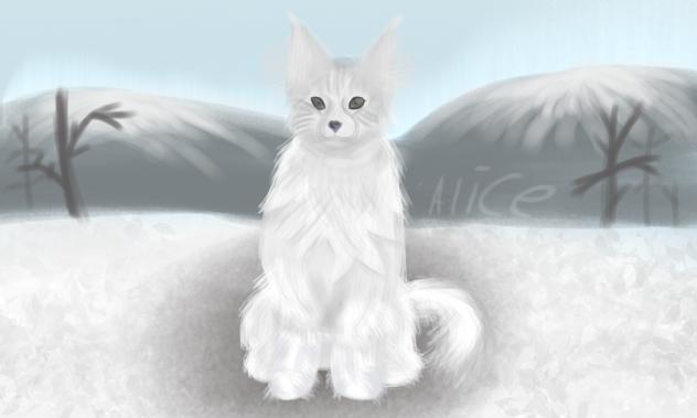 trying to do realism for the first time! - ibisPaint