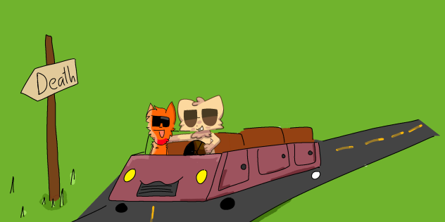 aberage car ride