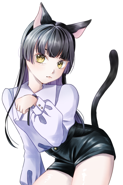 黒猫