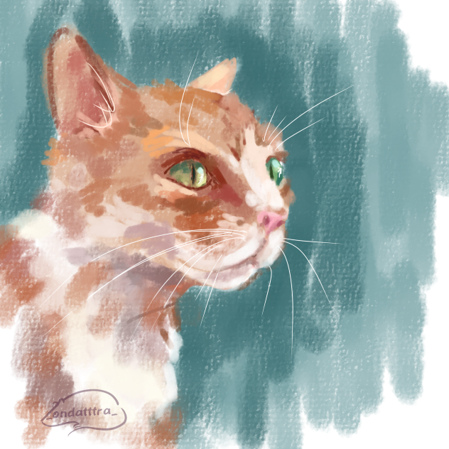 кошька