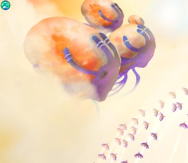 The Nimbus Sky Whale