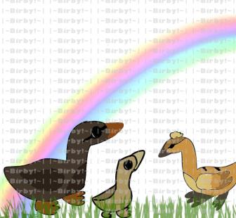 Duckies!