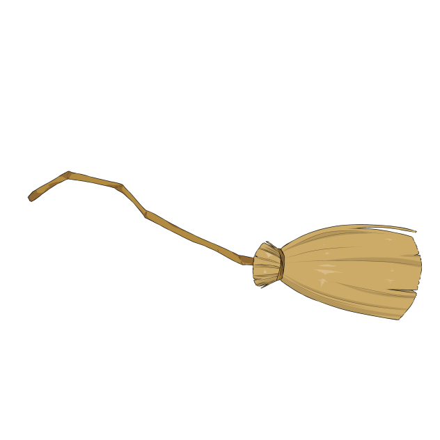 witch broom