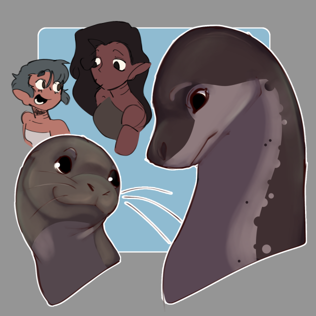 seal mermaids