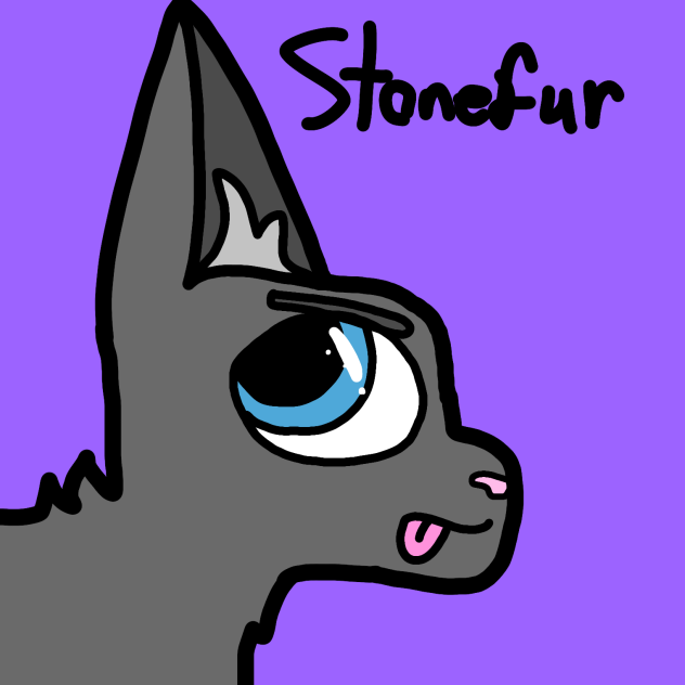 Annoyed Stonefur.2022.01.21-09.55
