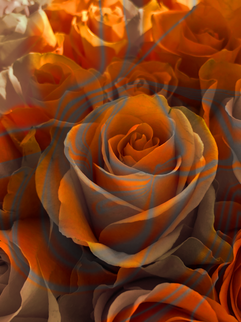 Цветочки😁